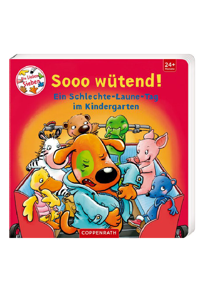 Buch Ein Schlechte-Laune-Tag im Kindergarten